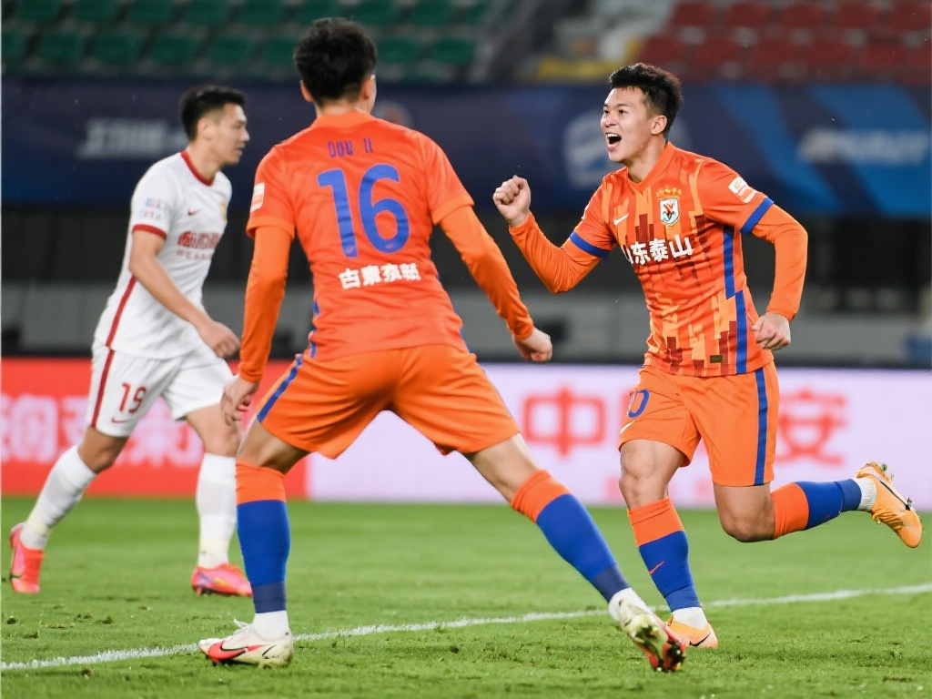 不仅展示了 不仅展示了